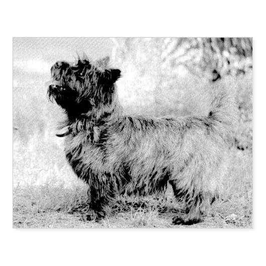 Show meisje rubberstempel (Afrduk)