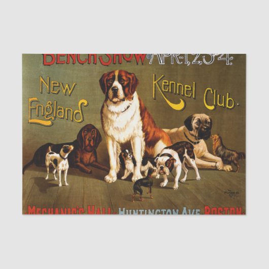Show op een bank. New England Kennel Club Tissuepapier (Voorkant)