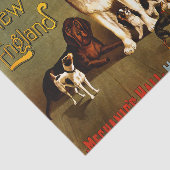 Show op een bank. New England Kennel Club Tissuepapier (Detail)