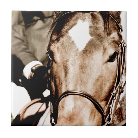 Show paard tegeltje (Voorkant)