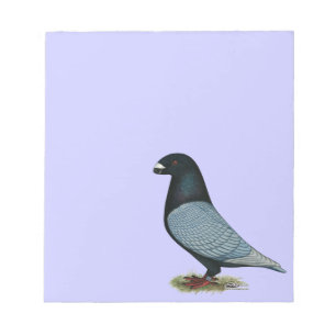 Show Racer Andalusiaans Notitieblok