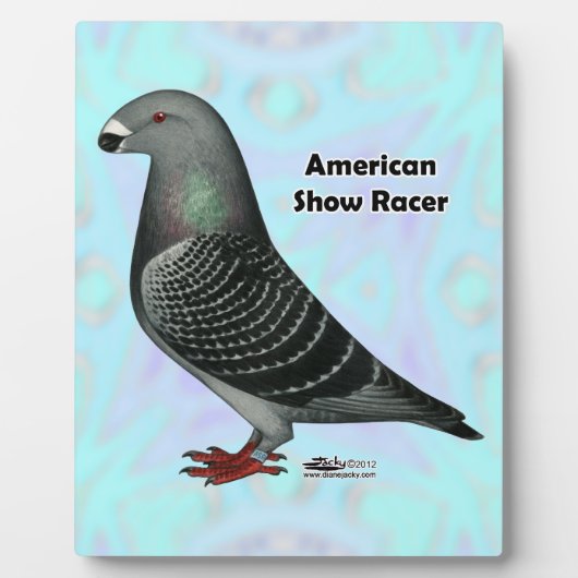 Show Racer ASR Fotoplaat (Voorkant)