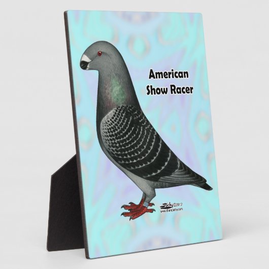 Show Racer ASR Fotoplaat (Zijkant)