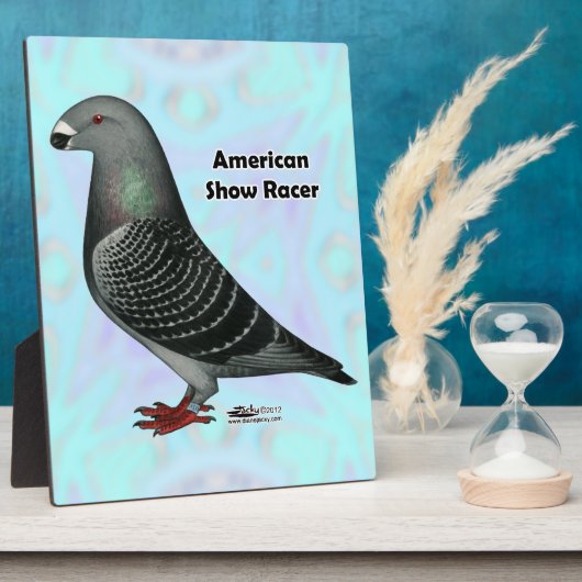 Show Racer ASR Fotoplaat (Zijkant)