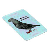 Show Racer ASR Magneet (Rechterzijde)