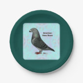 Show Racer ASR Papieren Bordje (Voorkant)