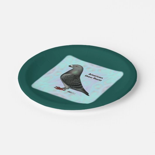 Show Racer ASR Papieren Bordje (Gekanteld)