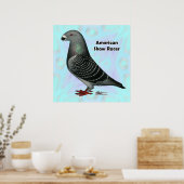 Show Racer ASR Poster (Keuken)