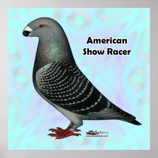 Show Racer ASR Poster (Voorkant)