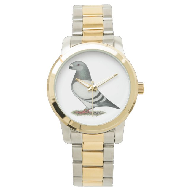 Show Racer Blue Bar Pigeon Horloge (Voorkant)