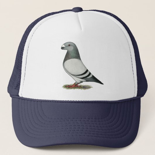 Show Racer Blue Bar Pigeon Trucker Pet (Voorkant)