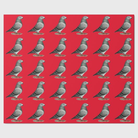 Show Racer Blue Checker Pigeon Cadeaupapier (Zoom)