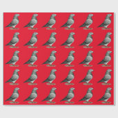 Show Racer Blue Checker Pigeon Cadeaupapier (Vlak)