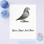 Show Racer Blue Checker Pigeon Flyer (Enkel)
