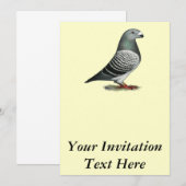 Show Racer Blue Checker Pigeon Kaart (Voorkant / Achterkant)