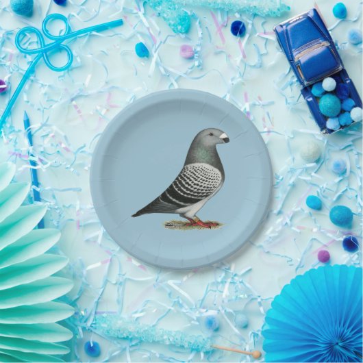 Show Racer Blue Checker Pigeon Papieren Bordje (Feest)