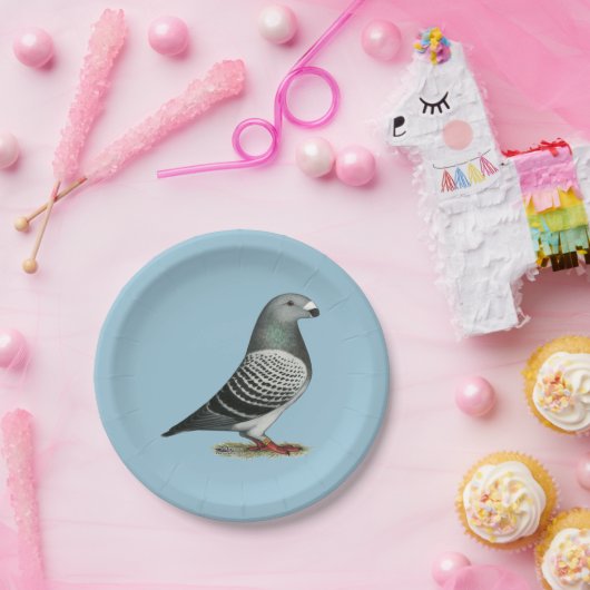Show Racer Blue Checker Pigeon Papieren Bordje (Feest)