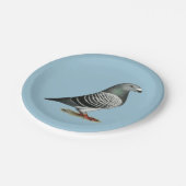 Show Racer Blue Checker Pigeon Papieren Bordje (Gekanteld)