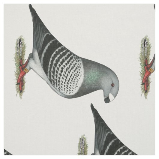 Show Racer Blue Checker Pigeon Stof (Swatch)