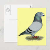Show Racer Concept Briefkaart (Voorkant / Achterkant)