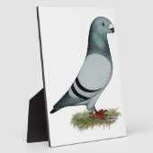 Show Racer Concept Fotoplaat (Zijkant)