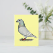 Show Racer Concept Hen Briefkaart (Staand voorkant)