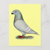 Show Racer Concept Hen Briefkaart (Voorkant)