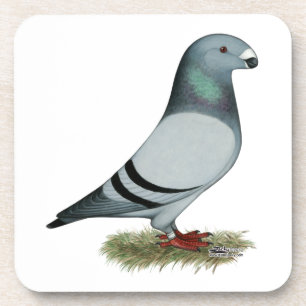 Show Racer Concept Onderzetter