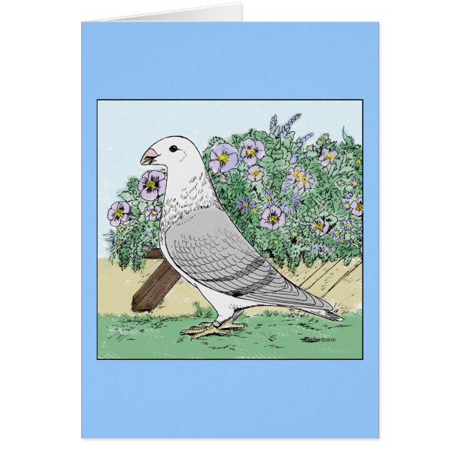 Show Racer en Flowers Color (Voorkant)