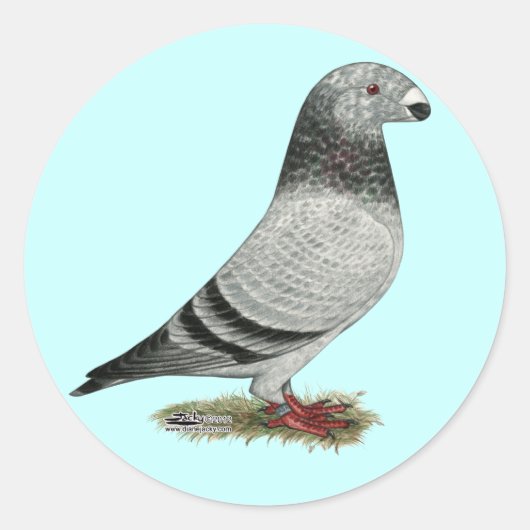 Show Racer Grizzle Ronde Sticker (Voorkant)