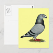 Show Racer Mismark Briefkaart (Voorkant / Achterkant)