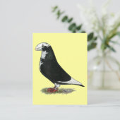 Show Racer Pied Briefkaart (Staand voorkant)