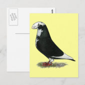 Show Racer Pied Briefkaart (Voorkant / Achterkant)
