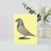 Show racer recessief optisch briefkaart (Staand voorkant)