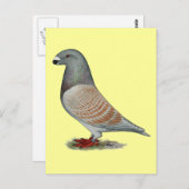 Show racer recessief optisch briefkaart (Voorkant / Achterkant)