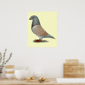 Show racer recessief optisch poster (Keuken)