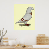 Show Racer Red Bar Pigeon Poster (Keuken)