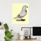 Show Racer Red Bar Pigeon Poster (Thuiskantoor)