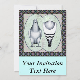 Show racer standaard kaart