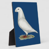 Show Racer White Fotoplaat (Zijkant)