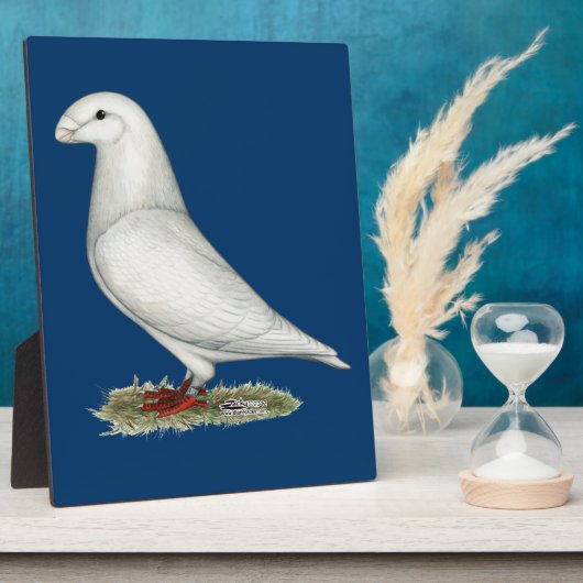 Show Racer White Fotoplaat (Zijkant)