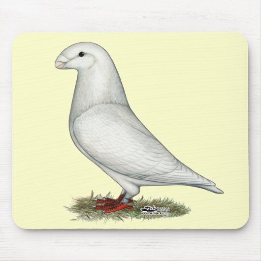 Show Racer White Muismat (Voorkant)