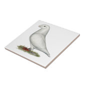 Show Racer White Tegeltje (Zijkant)