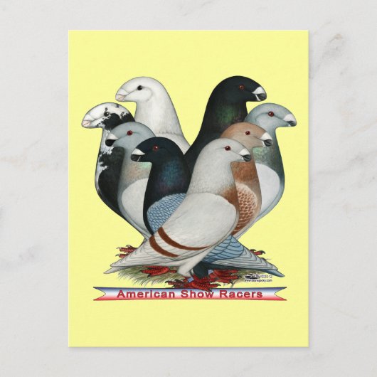 Show Racers Acht Briefkaart (Voorkant)