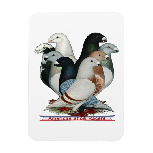 Show Racers Acht Magneet (Verticaal)