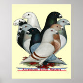 Show Racers Acht Poster (Voorkant)