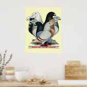 Show Racers Acht Poster (Keuken)