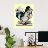 Show Racers Acht Poster (Thuiskantoor)