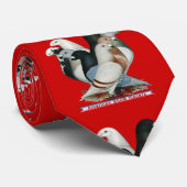 Show Racers Acht Stropdas (Opgerold)