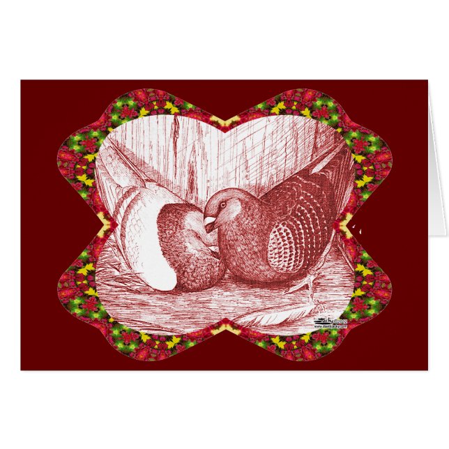 Show racers in rood (Voorkant Horizontaal)